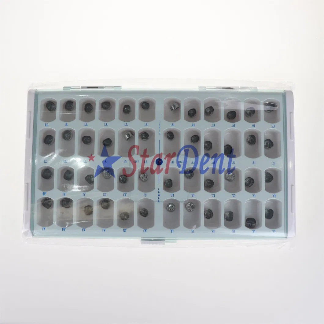 Adult Crown Stainless Steel Sheet Primary Molar Crown Teeth Crowns