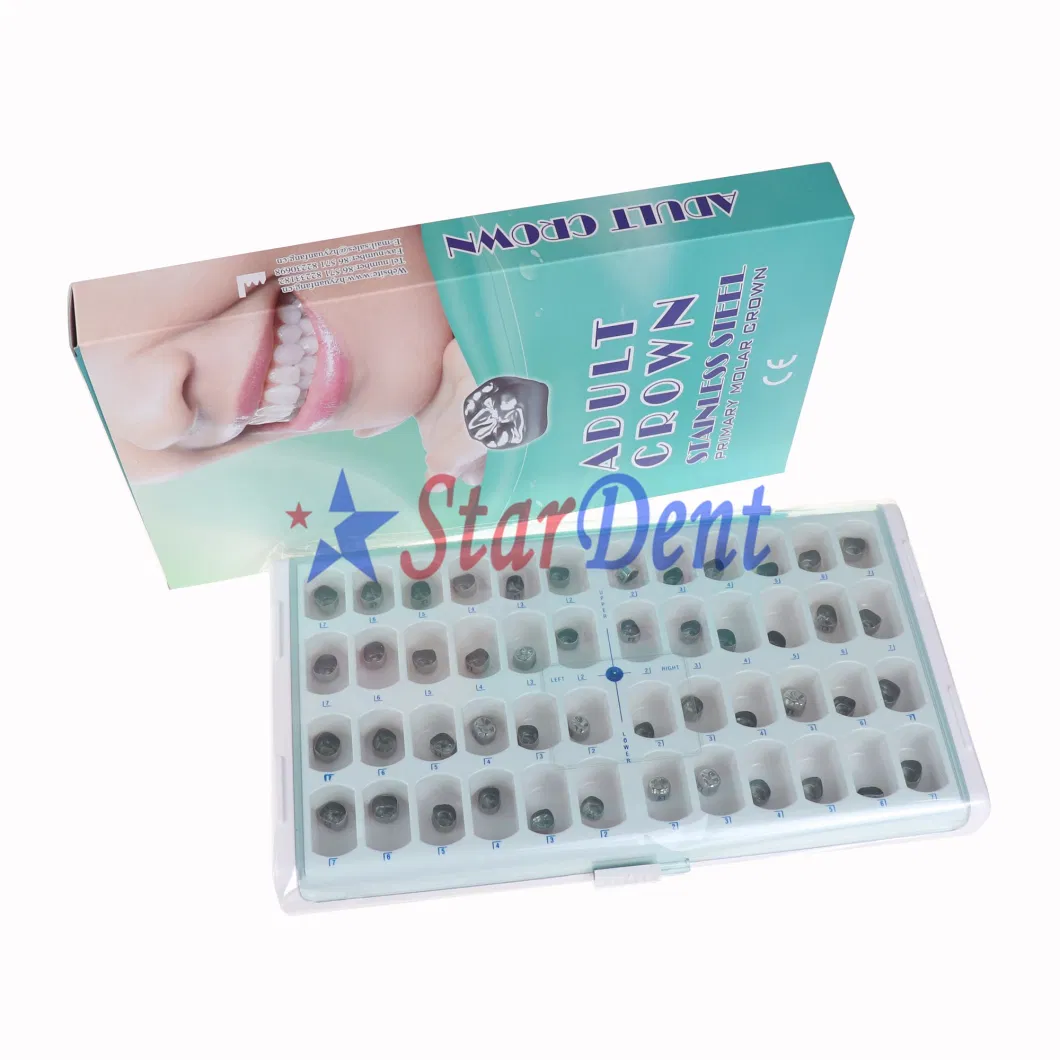 Adult Crown Stainless Steel Sheet Primary Molar Crown Teeth Crowns